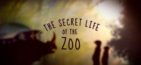 Secret_Life_of_the_Zoo_title_card